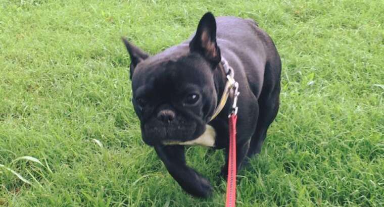 May Updates and Happenings!