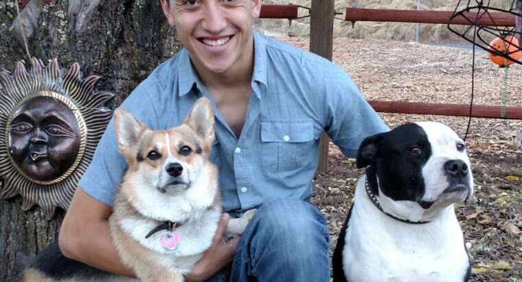 The Benefits of Walking Your Dog 🐾