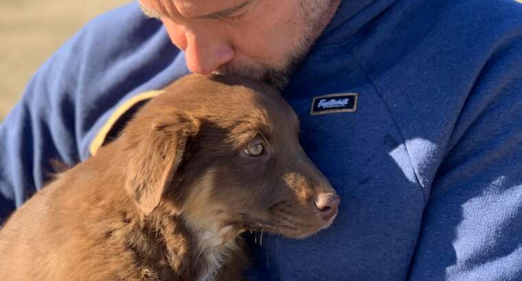 July Happenings and Musings!