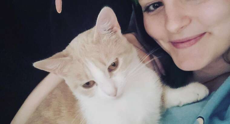 May Updates!  (Memorial Weekend Openings – Summer Travel Bookings Begin)