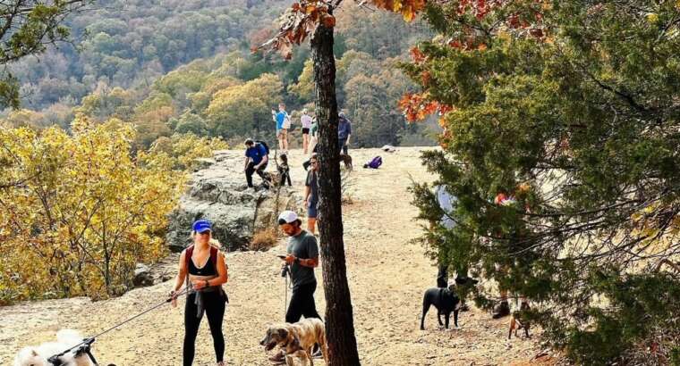 February New Client Specials! (Free meet and greet and package discounts)