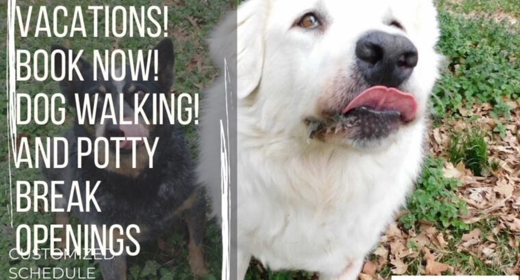 June updates!! Summer is Here (Pet Sitting and Overnight 101) NEW STAFF IS TRAINED