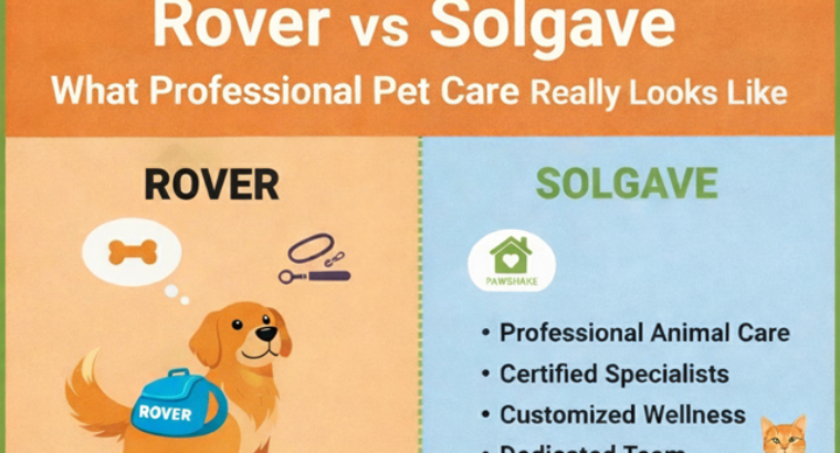 Why Solgave is Different From Rover (And Why That Matters for Your Pet)