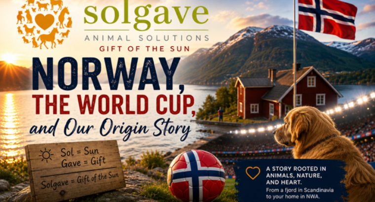 Norway, the World Cup, and our Origin Story