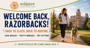 University of Arkansas student walking a golden retriever near Old Main with Solgave welcome-back pet care information.
