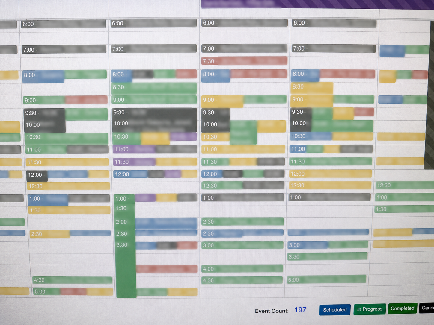 Privacy-safe Time To Pet schedule showing Solgave’s record-setting 197-event week in summer 2026.