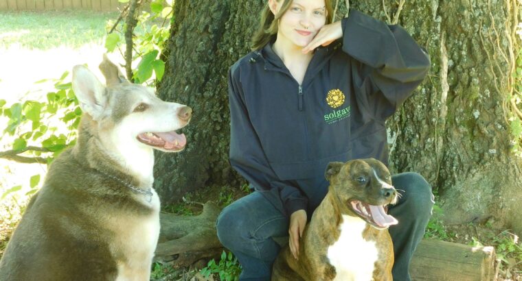 Holiday Pet Sitting in Benton County: Home, Sweet Home